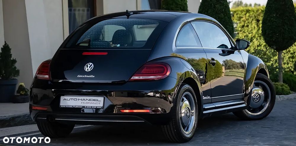 Volkswagen Beetle - 16