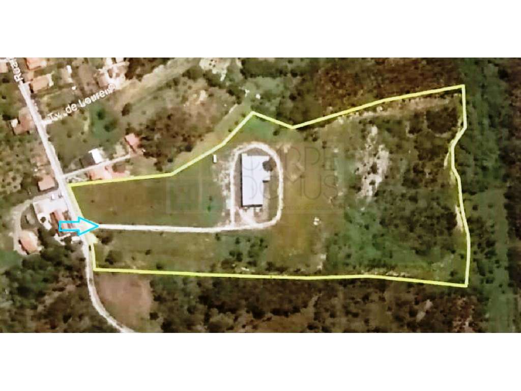 Lote de terreno de 60841m2 com armazém de 1200m2, em Pelariga, Pomb... - Grande imagem: 3/59