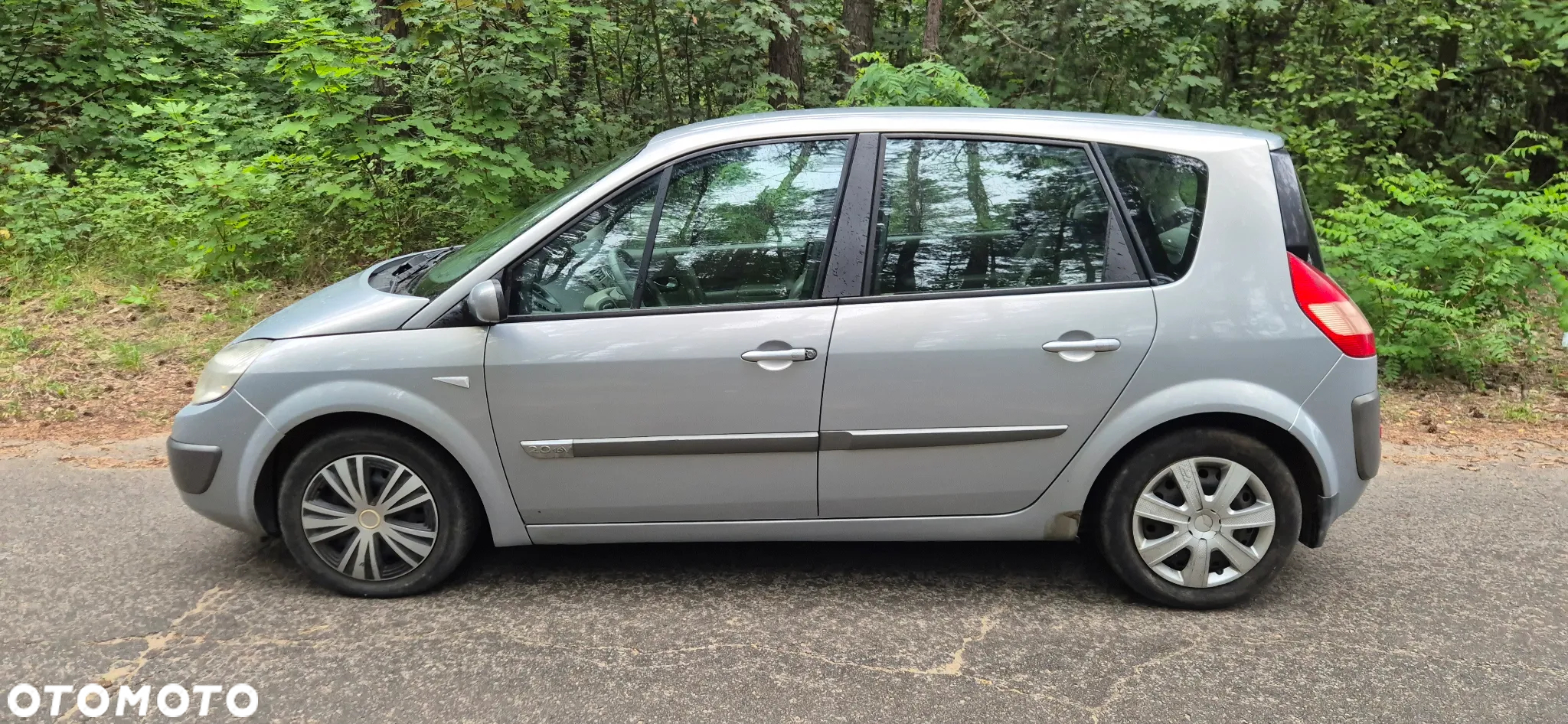 Renault Scenic - 2