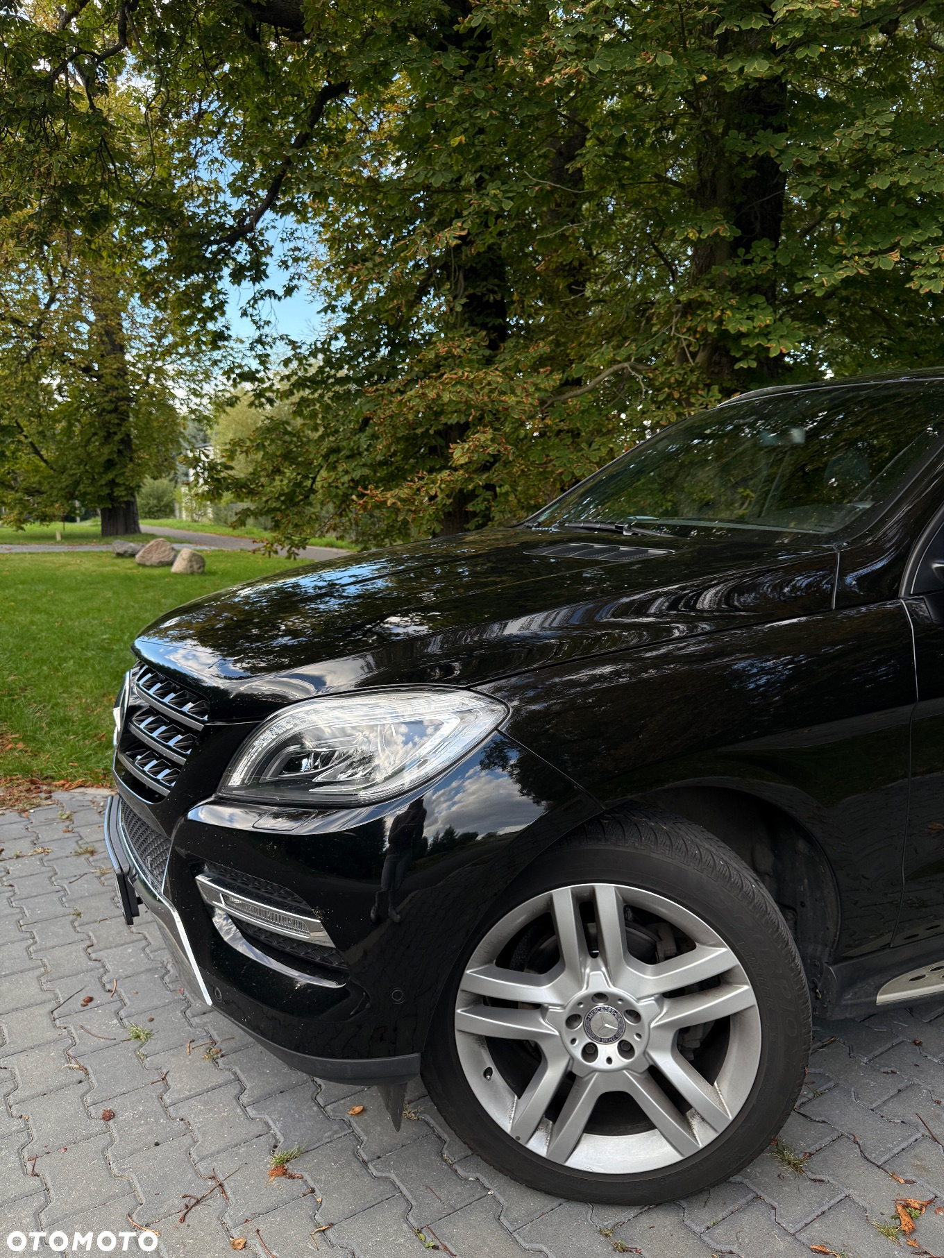 Mercedes-Benz ML 350 BlueTec 4-Matic - 5