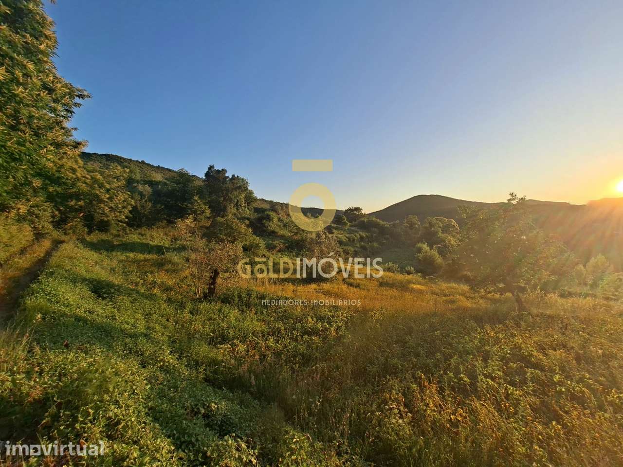 Quintinha  Venda em Real,Castelo de Paiva - Grande imagem: 2/19