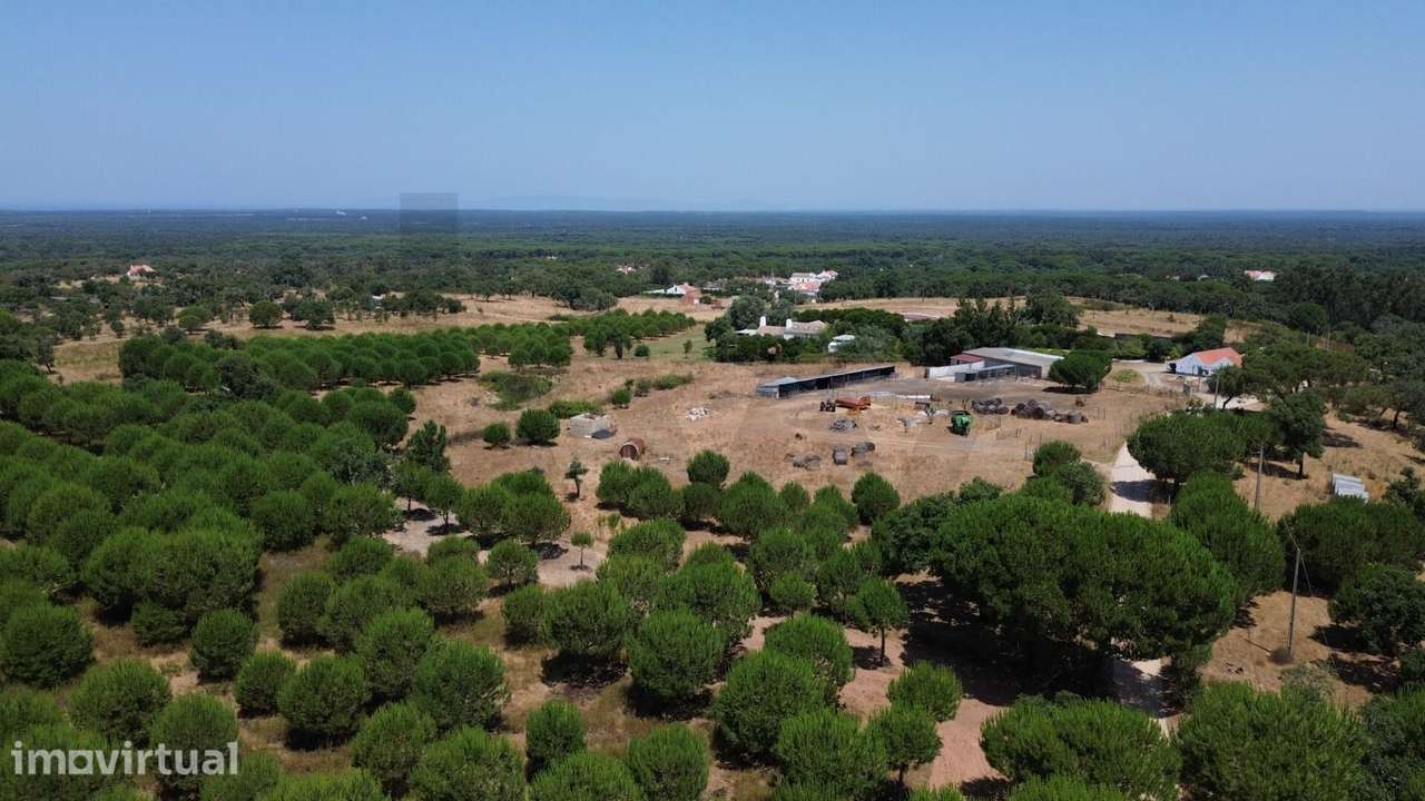 Quinta com vista mar e grande potencial nas Sobreiras Altas, Grândola - Grande imagem: 2/24
