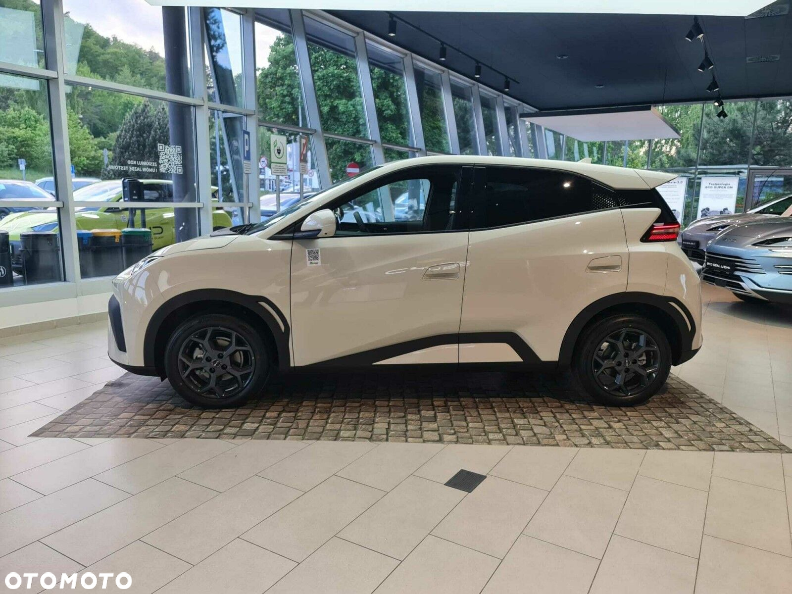 BYD Dolphin Mini - 5
