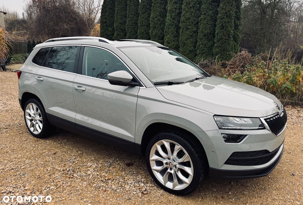 Skoda Karoq - 11