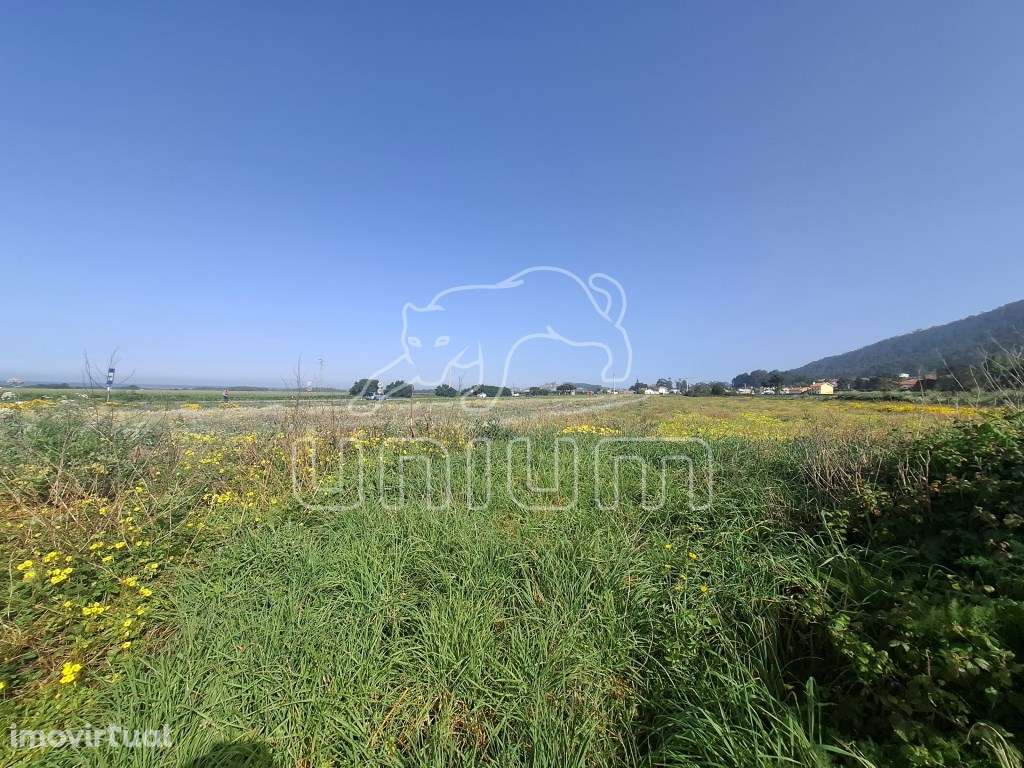 Terreno em Carreço - Grande imagem: 4/5
