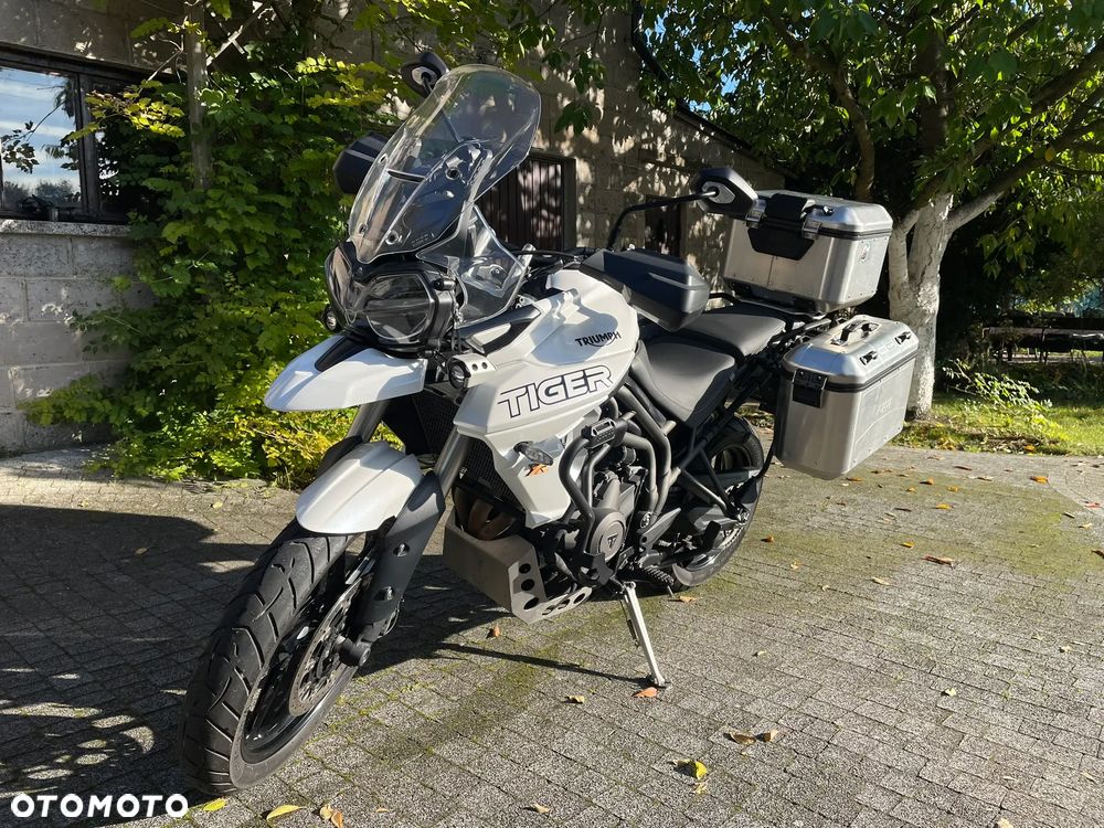 Triumph Tiger