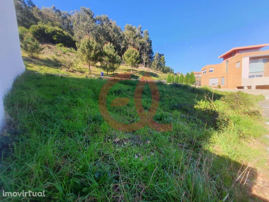 Lote para Construção de Edifico com dois Apartamentos T3 - Abelheir... - Grande imagem: 2/11