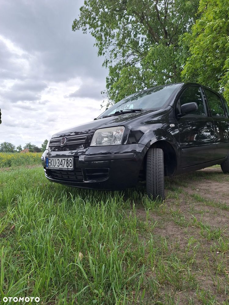 Fiat Panda - 5