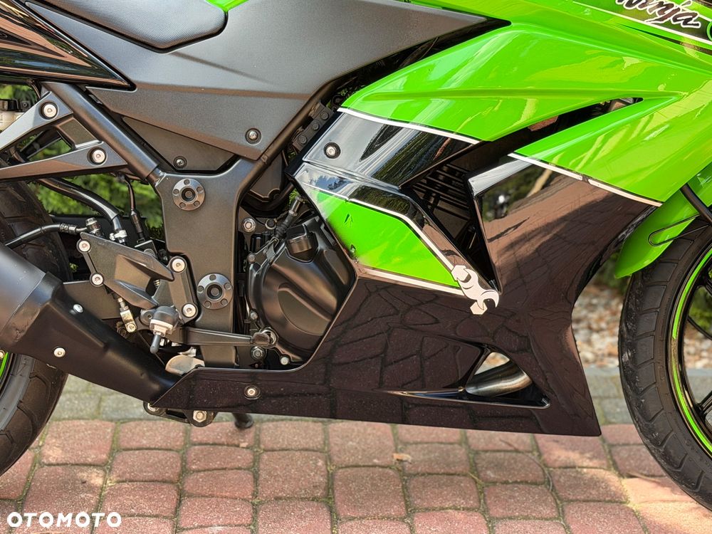 Kawasaki Ninja - 13