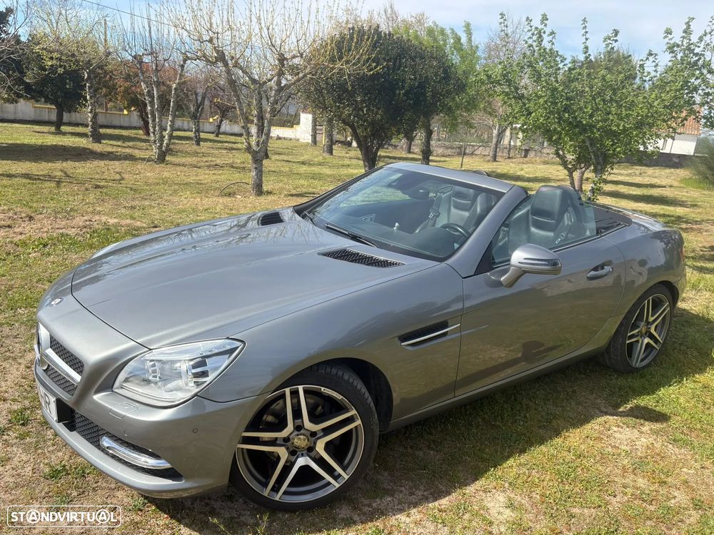 Mercedes-Benz SLK 250 CDI (BlueEFFICIENCY) - 1