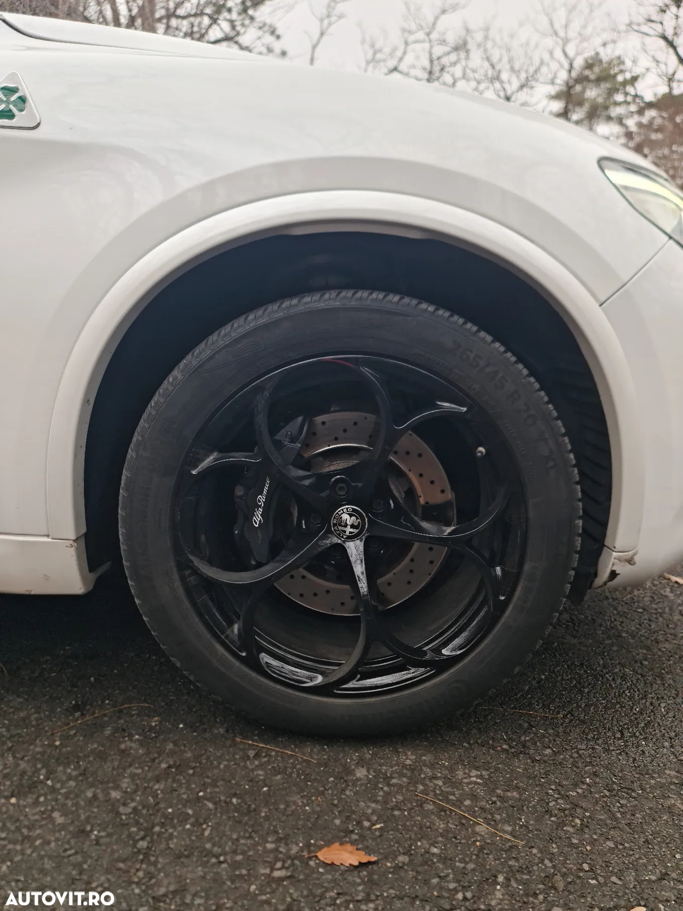 Alfa Romeo Stelvio 2.9 V6 Turbo AWD AT8 Quadrifoglio - 24