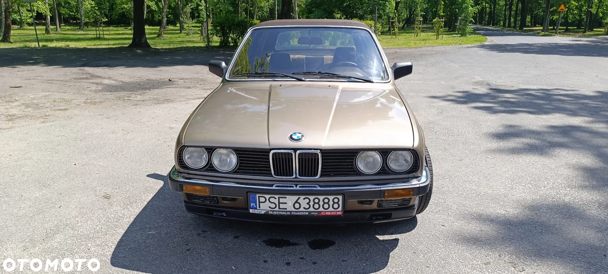 BMW Seria 3 318i - 34