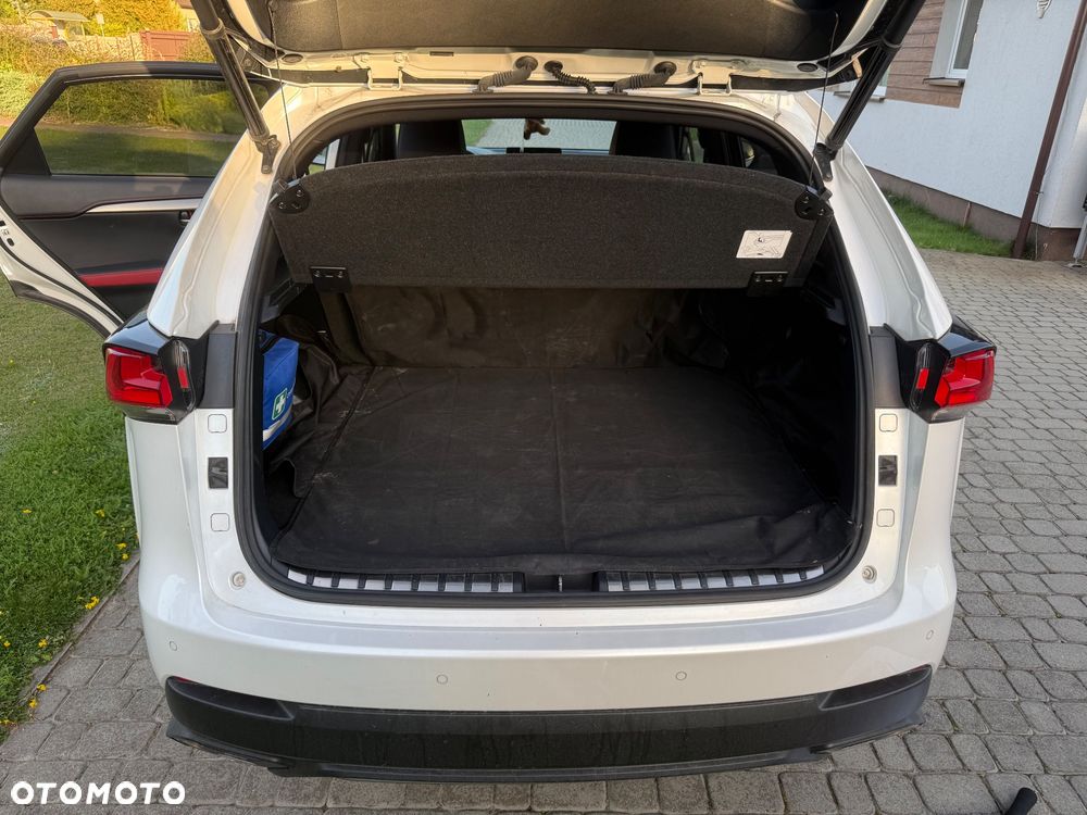 Lexus NX - 22