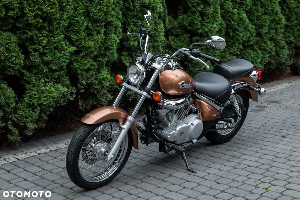 Suzuki Intruder - 2