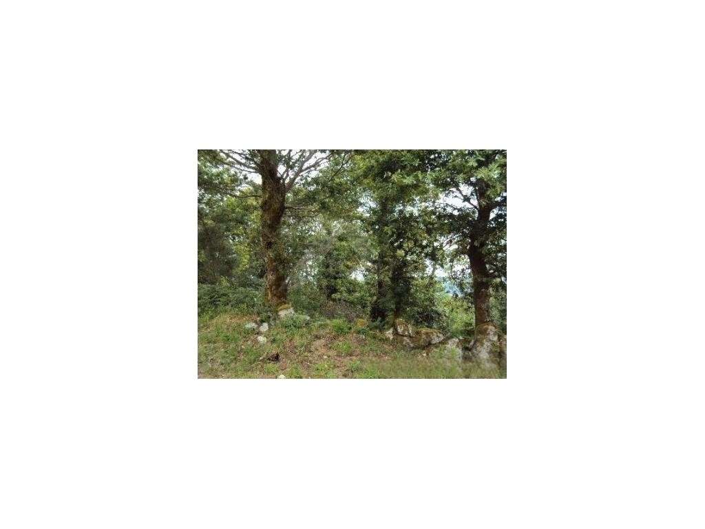 Terreno de construção em Paredes de Coura - Grande imagem: 2/5