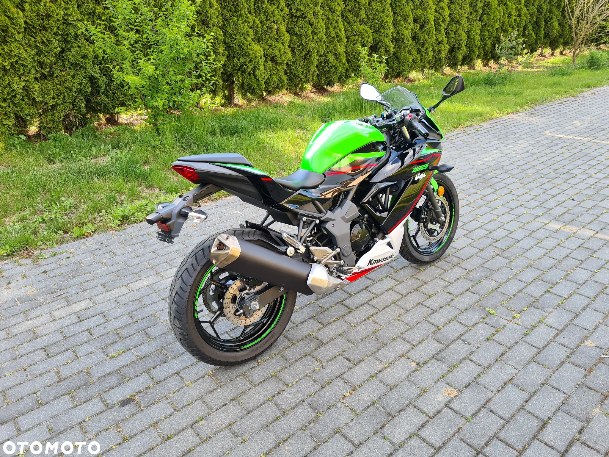 Kawasaki Ninja - 3