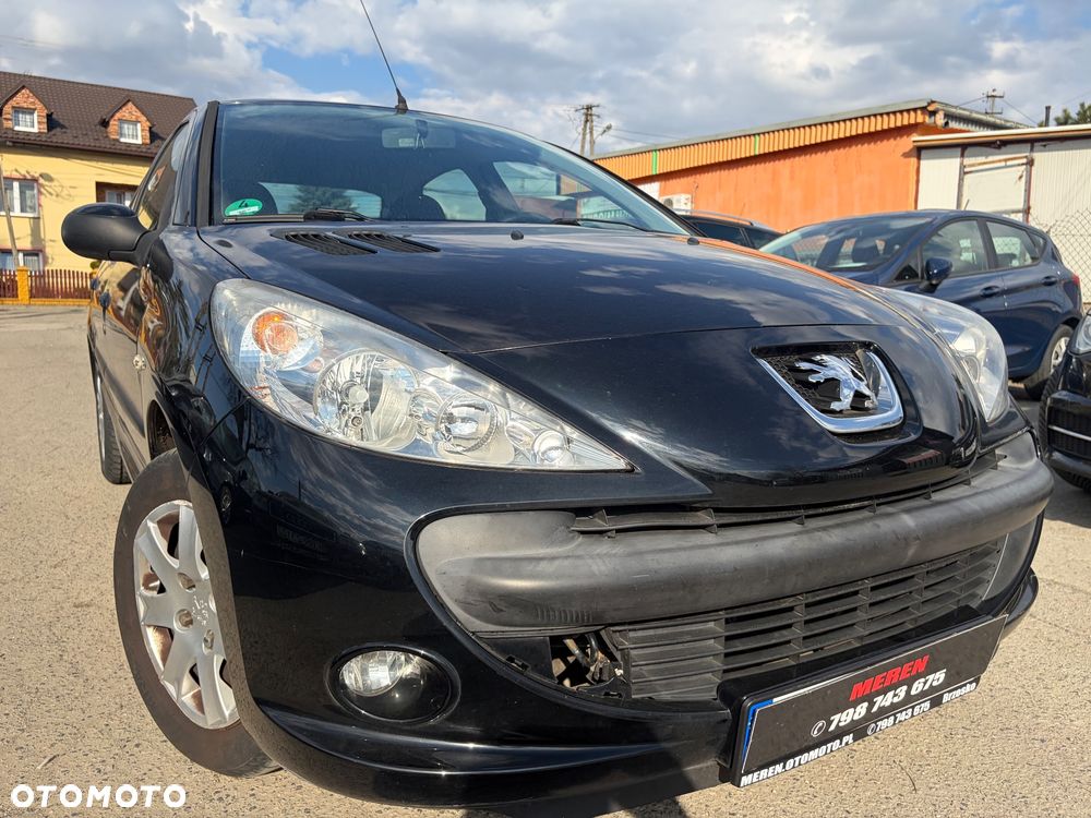 Peugeot 206 plus 60 - 24