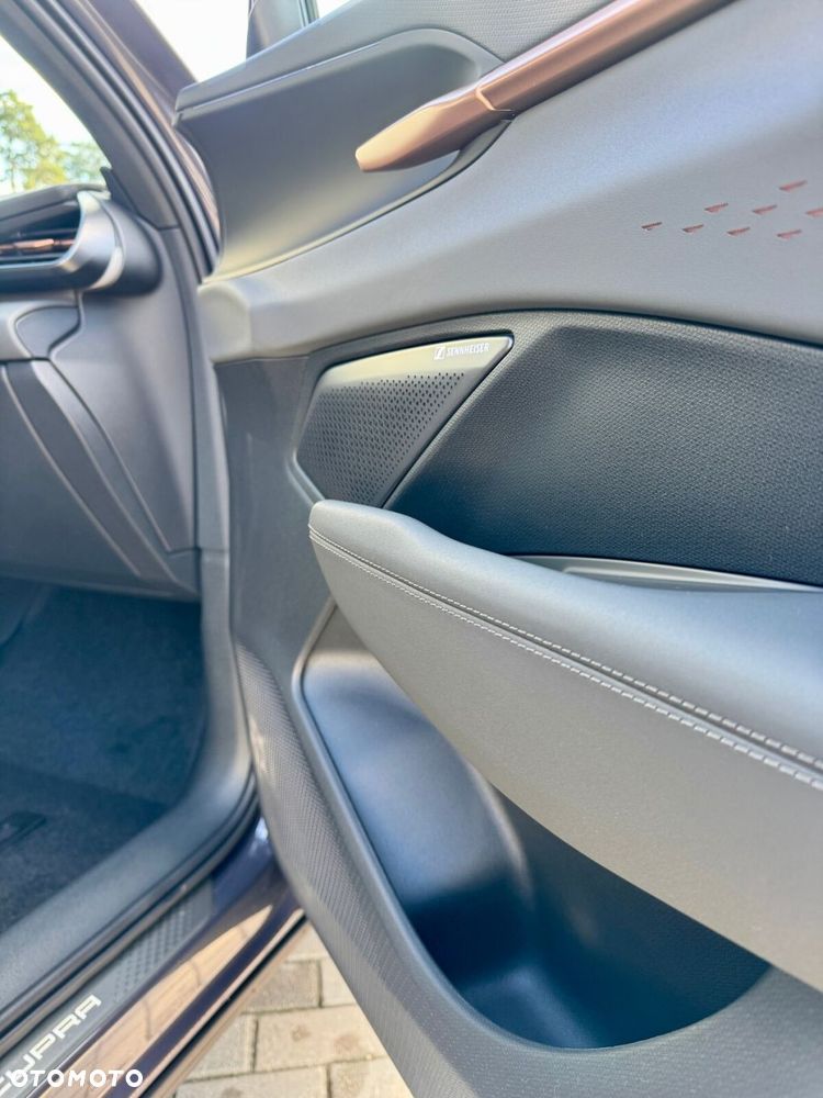 Cupra Terramar 1.5 eTSI mHEV Advantage Edition DSG - 38