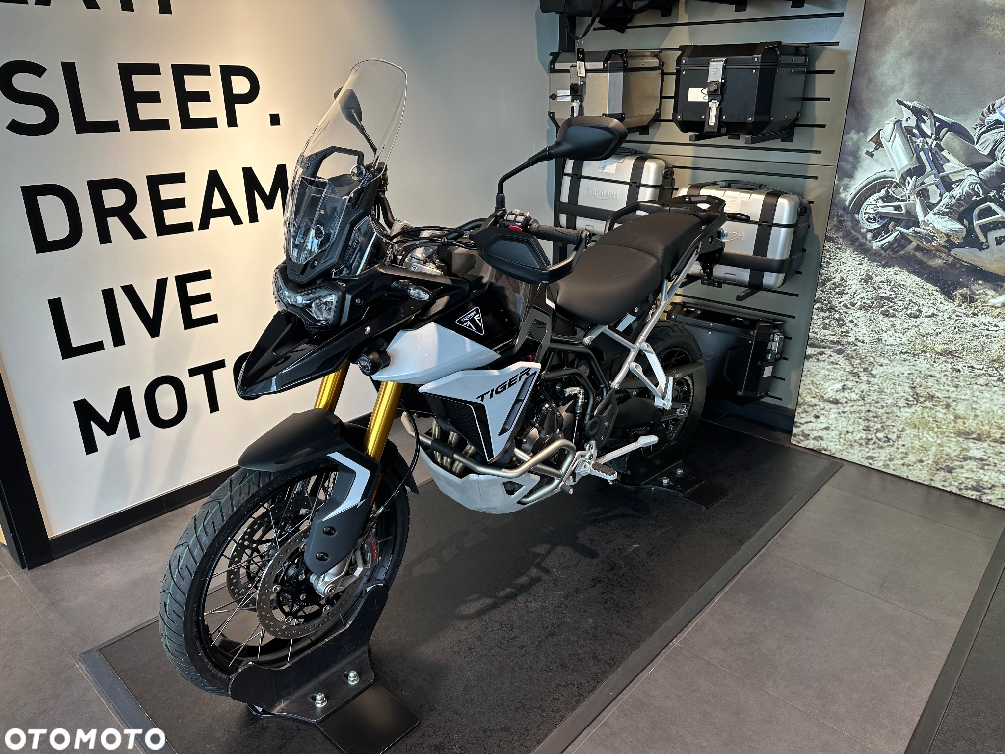 Triumph Tiger - 2