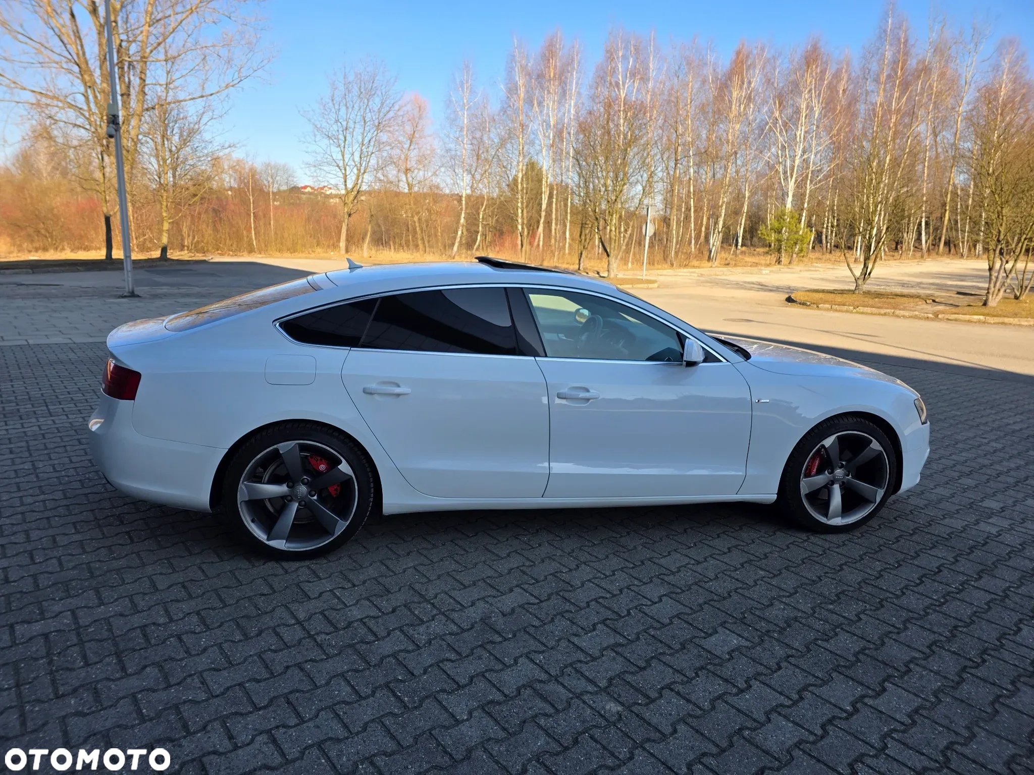 Audi A5 2.0 TDI Sportback quattro DPF S tronic - 13