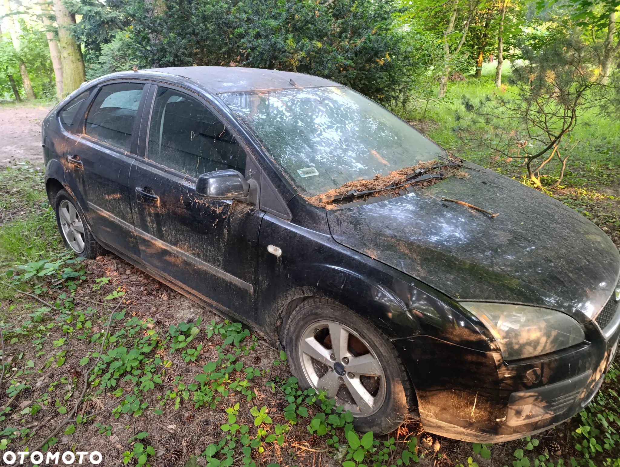 Ford Focus - 2