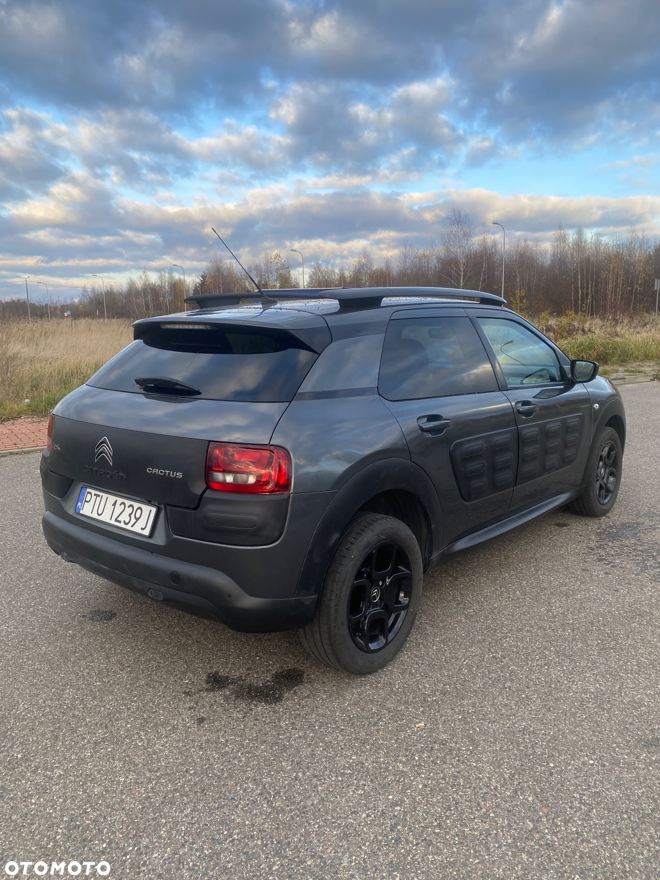 Citroën C4 Cactus 1.2 PureTech Shine Edition S&S - 5