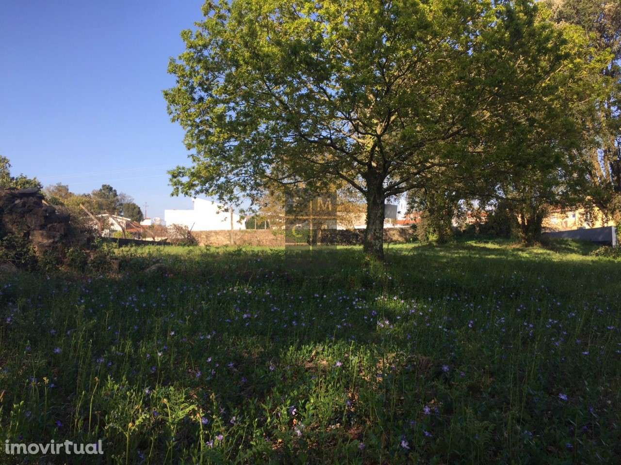 Terreno  Venda em São Roque,Oliveira de Azeméis - Grande imagem: 3/7