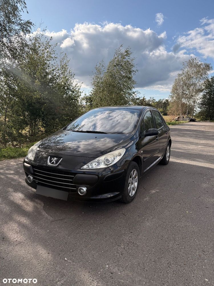 Peugeot 307 1.6 - 1