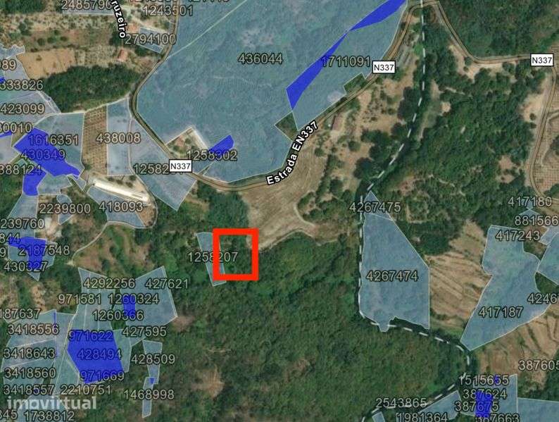 Terreno Rústico de Grande Dimensão (3,05 ha) em Boco – Parada de Gonta - Grande imagem: 3/3