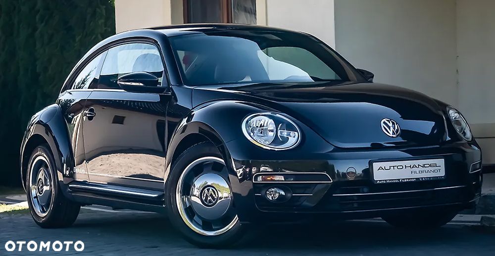 Volkswagen Beetle - 15