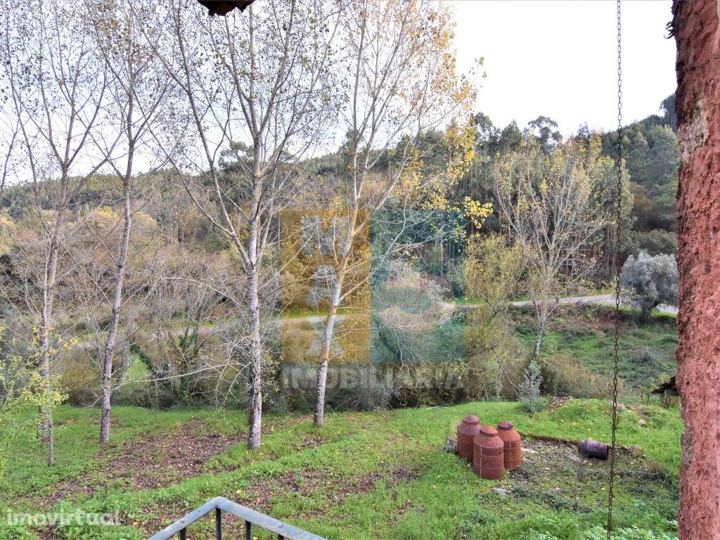 Quintinha 4.400m2 - zona com internet fibra no Carregal - Alvaiázere - Grande imagem: 4/60