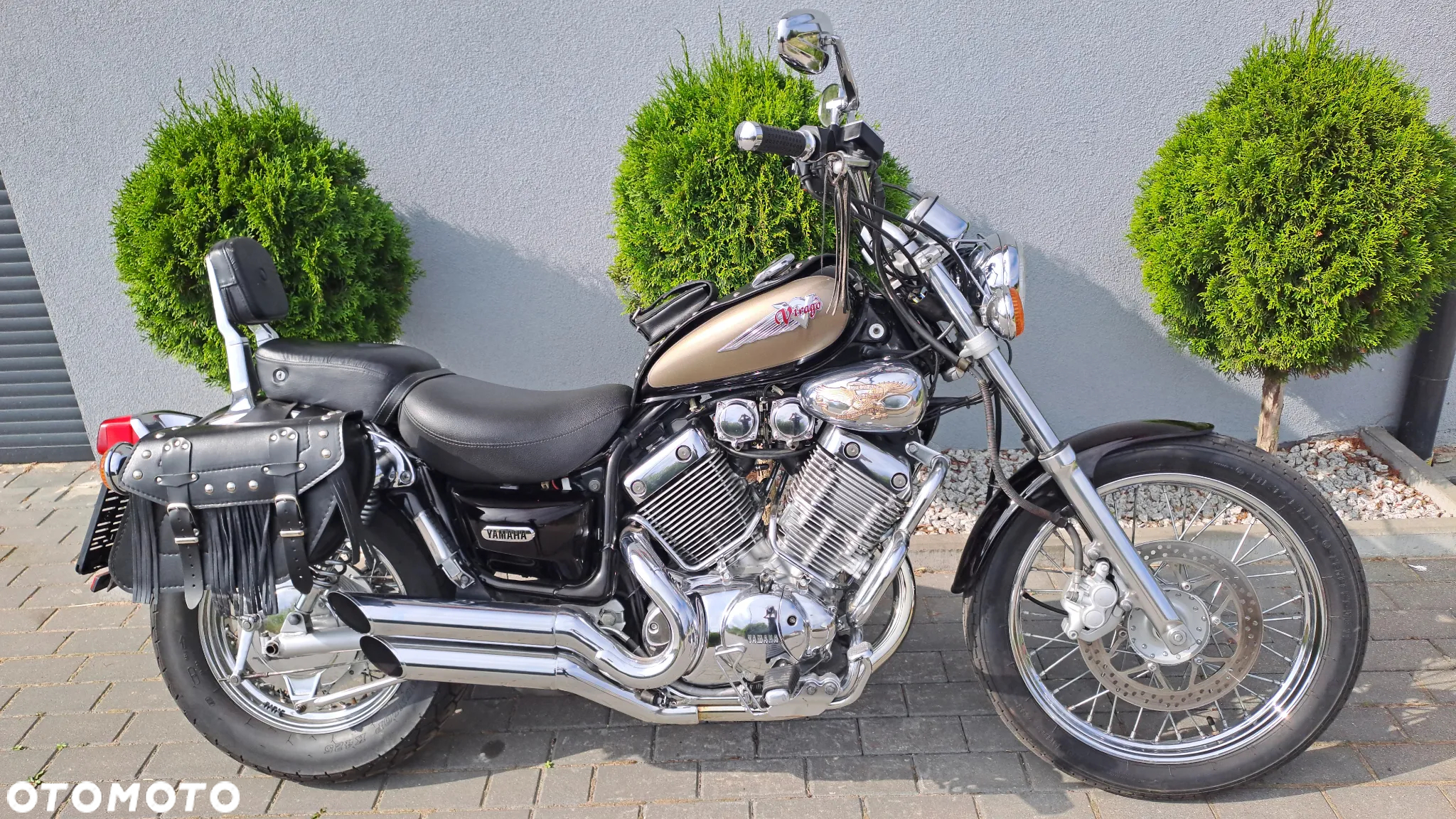 Yamaha Virago - 15