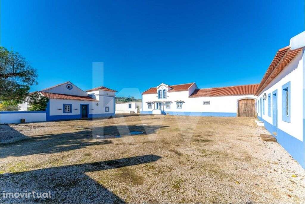 Quinta Vitivinícola com 35,74ha, em plena produção, a 30 minutos de Li - Grande imagem: 5/60