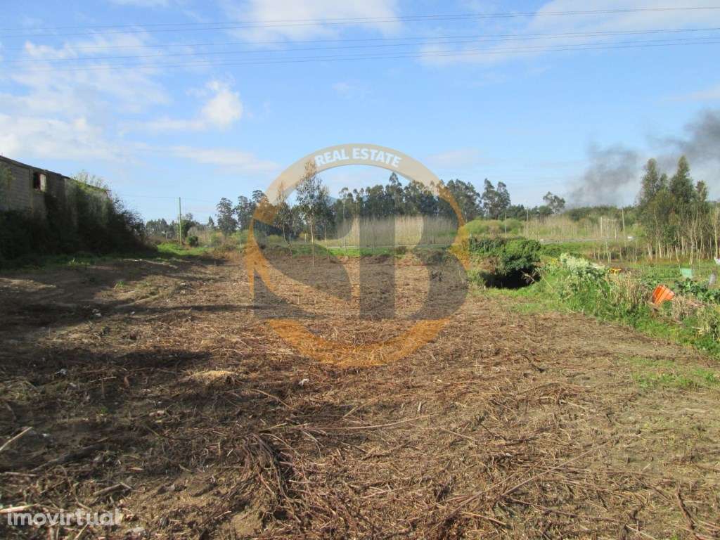 Terreno Rústico - São João de Ovar - Grande imagem: 3/9