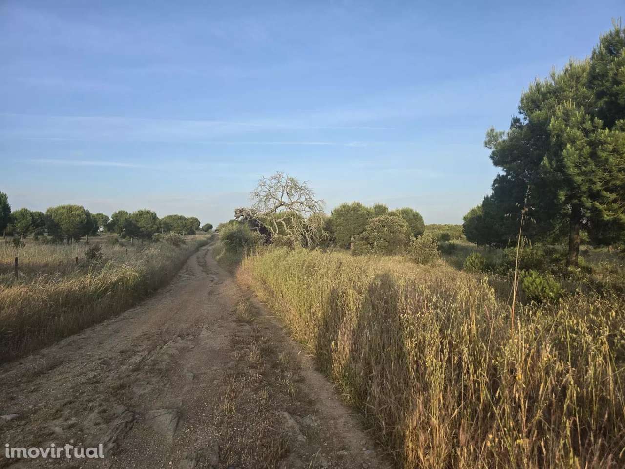 Baixo Alentejo – 55,9 ha de Liberdade e Potencial no Baixo Alentejo - Grande imagem: 5/8