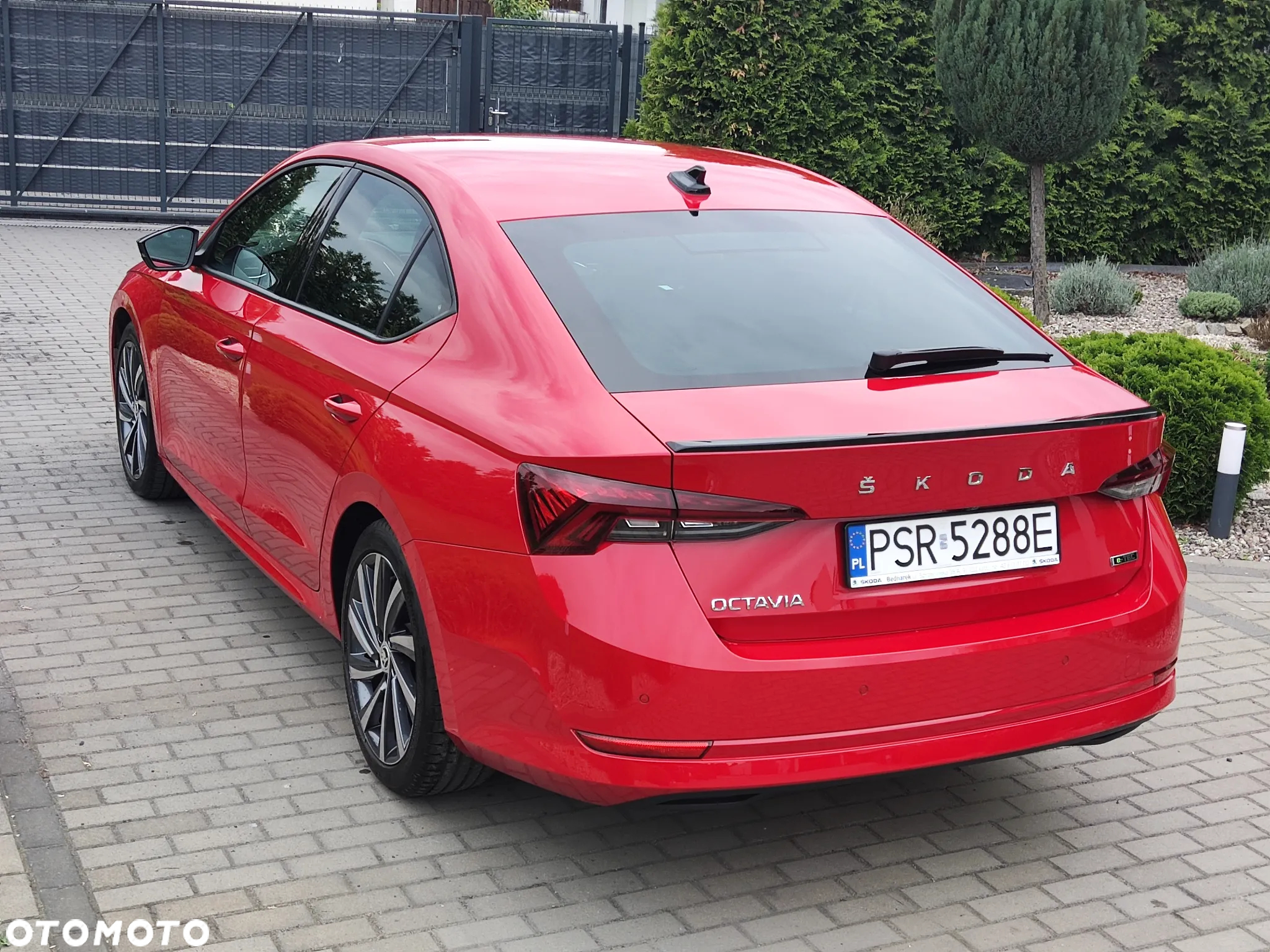 Skoda Octavia - 2