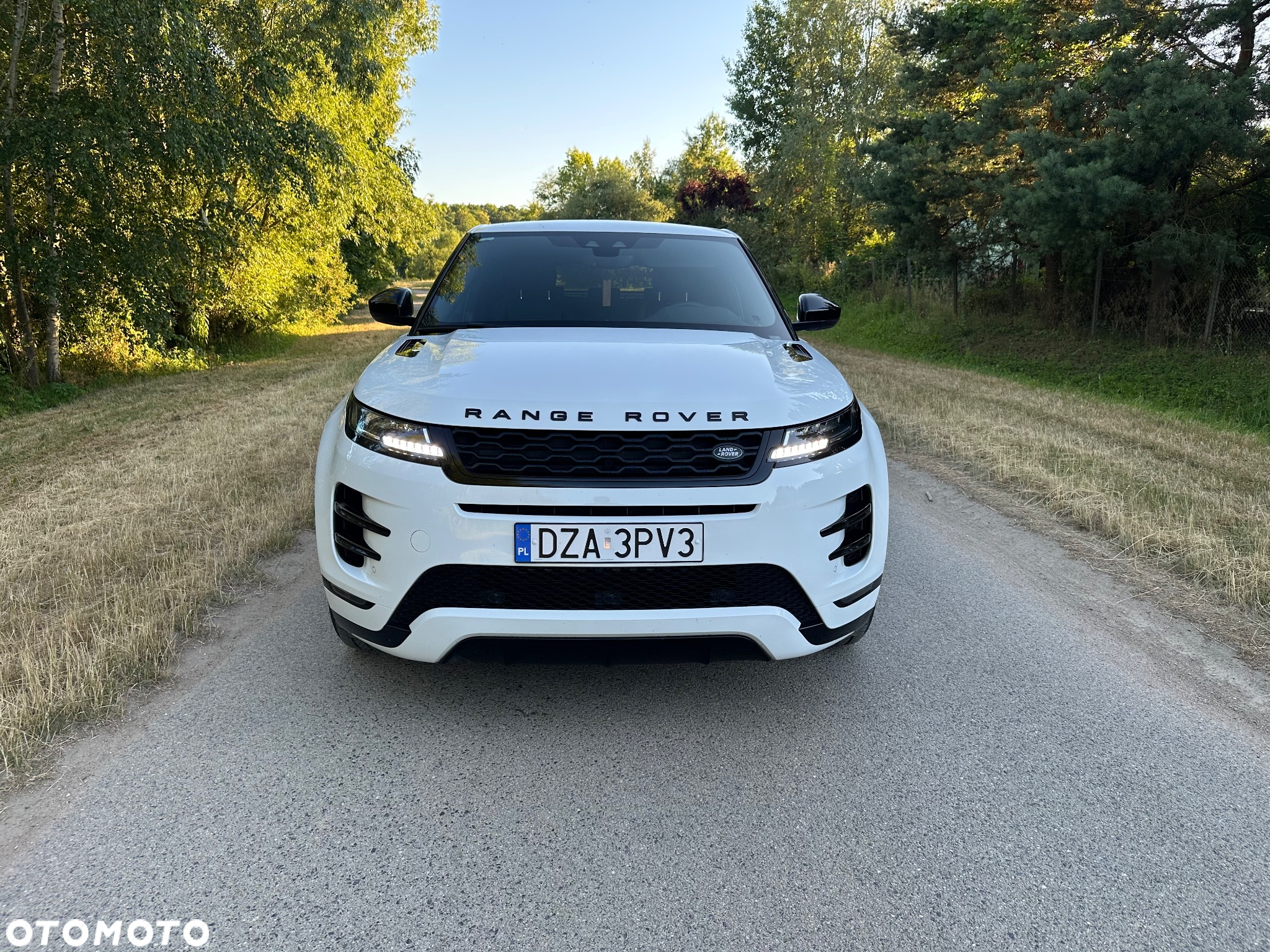 Land Rover Range Rover Evoque 2.0TD4 SE Dynamic - 7