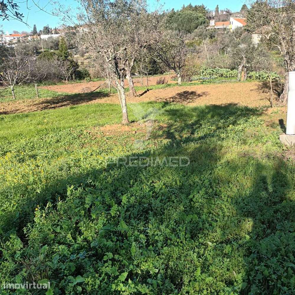 Quinta agricola - Grande imagem: 2/18