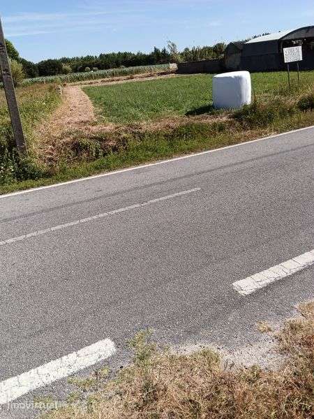 Terrenos urbano Cochadas - Tocha - Grande imagem: 5/10