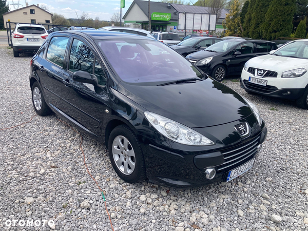Peugeot 307 110 Premium