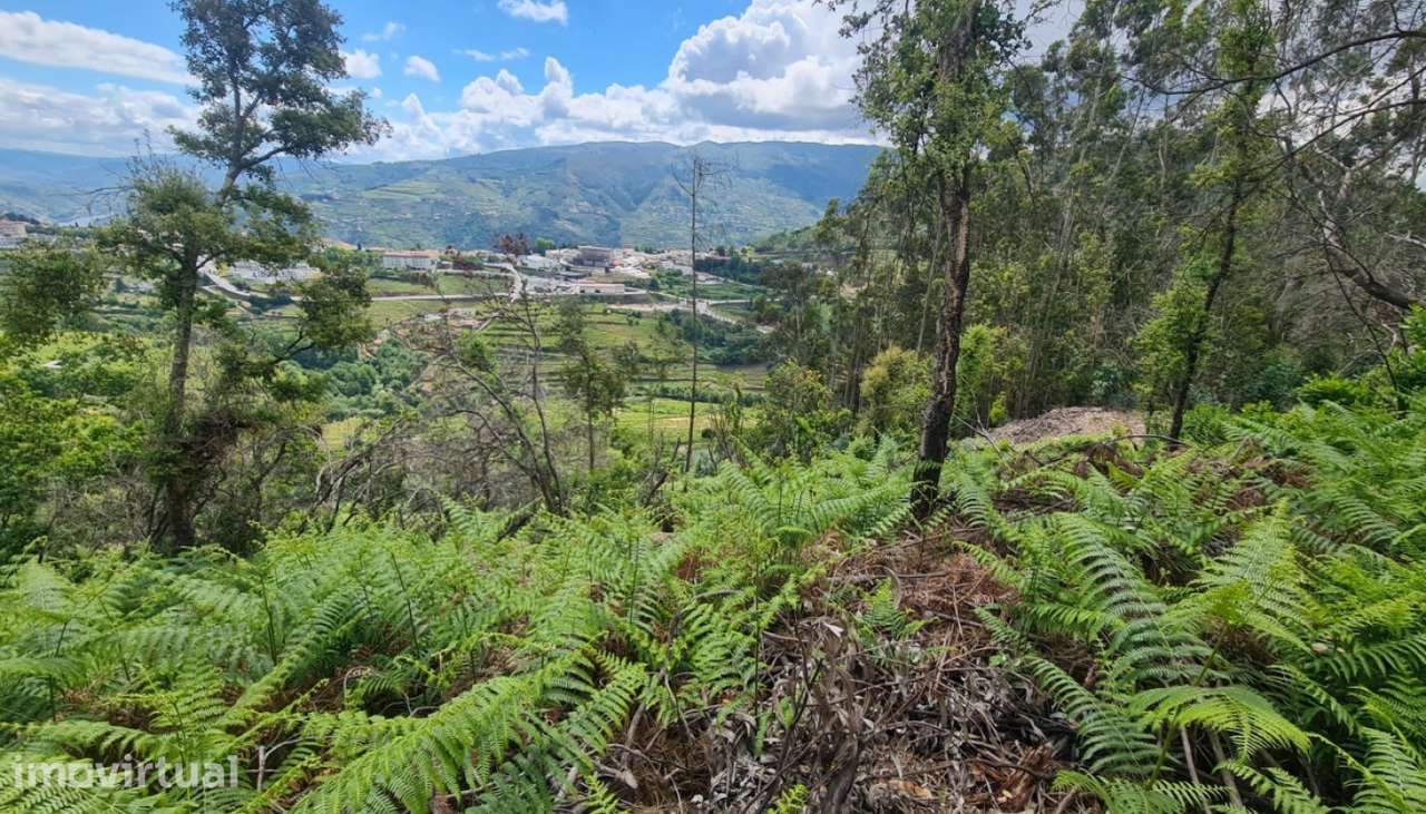 Venda Terreno, Gestaçô, Baião - Grande imagem: 3/31