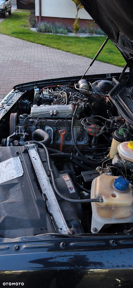 Audi 100 - 19