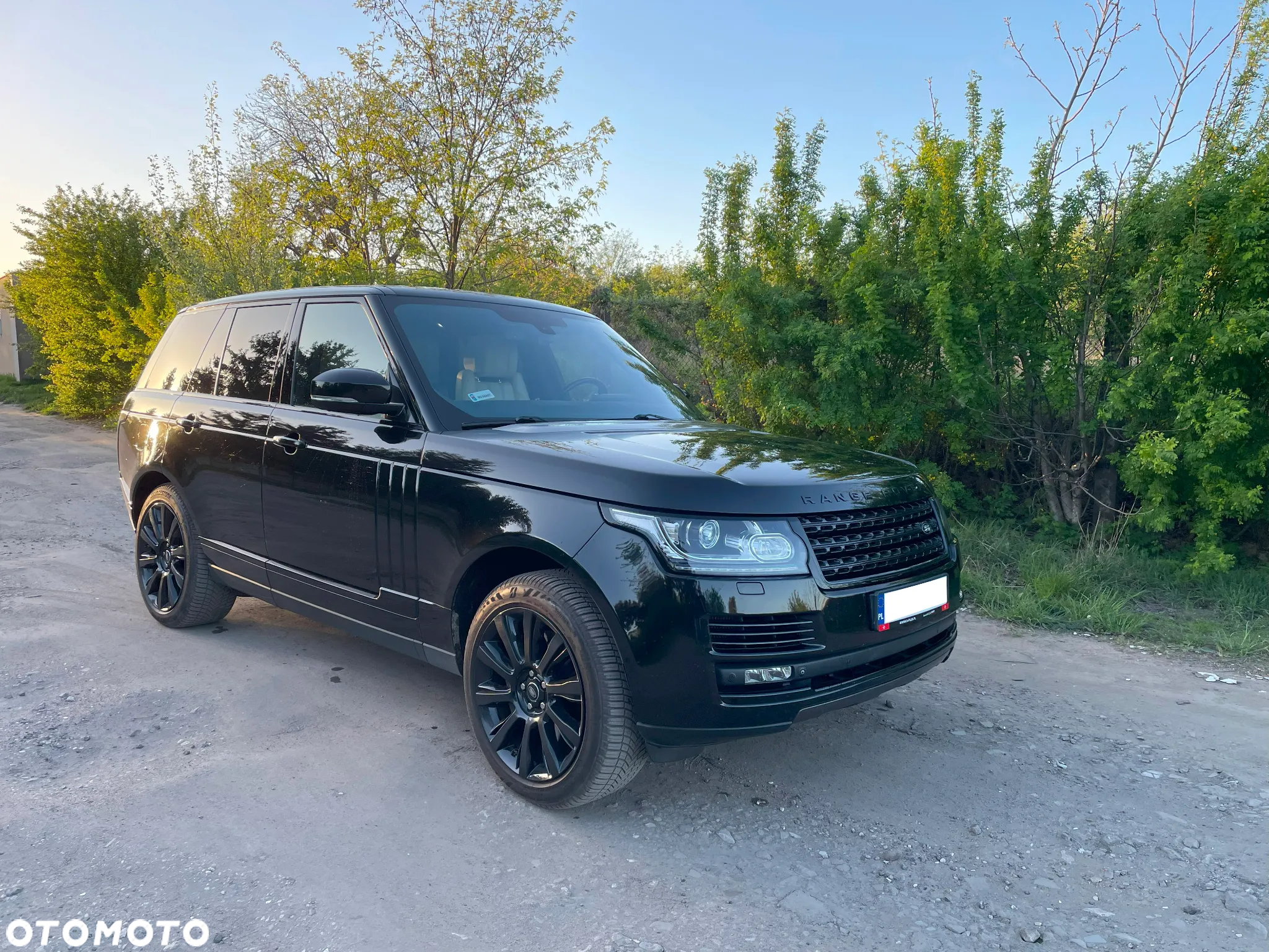 Land Rover Range Rover 4.4SD V8 Vogue - 30