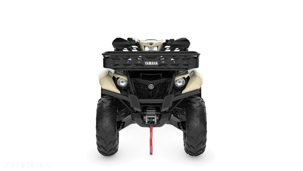 Yamaha Kodiak - 13