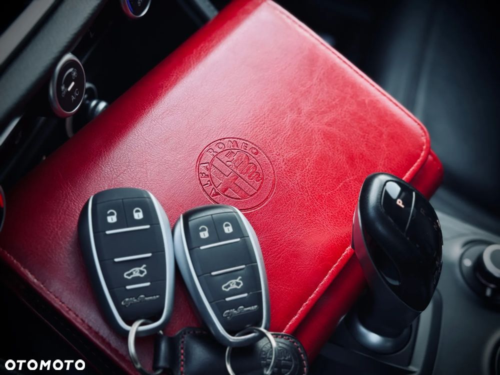 Alfa Romeo Stelvio 2.0 Turbo Super Q4 - 39