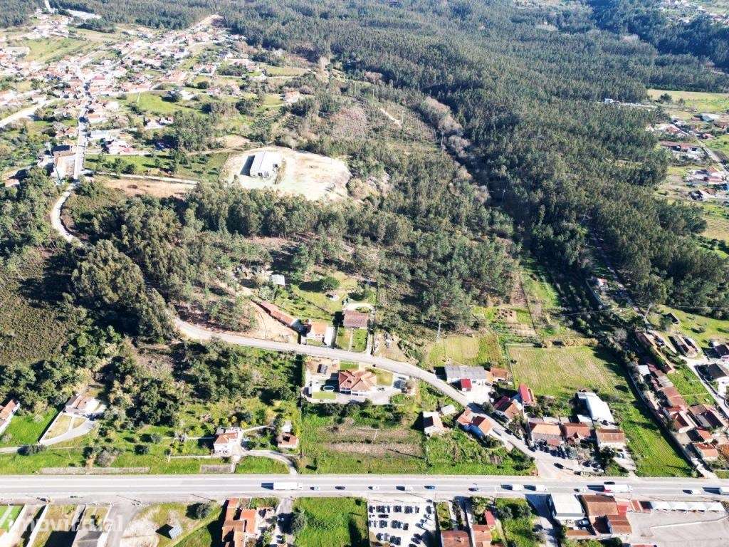 Lote de terreno de 60841m2 com armazém de 1200m2, em Pelariga, Pomb... - Grande imagem: 2/59