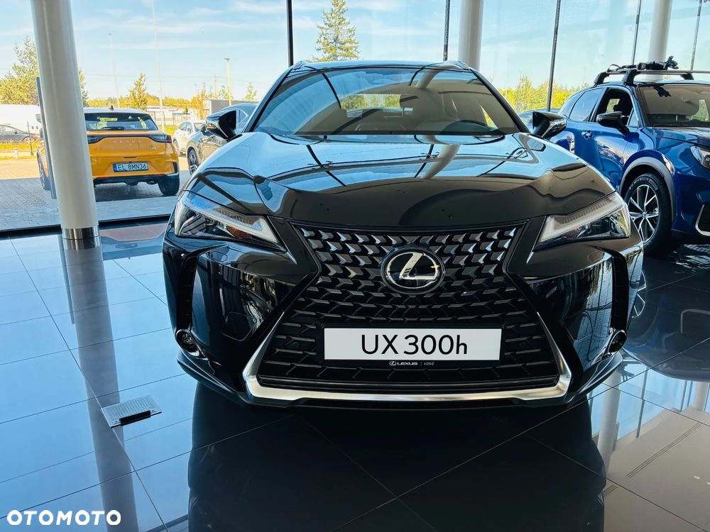 Lexus UX 300h Business - 6