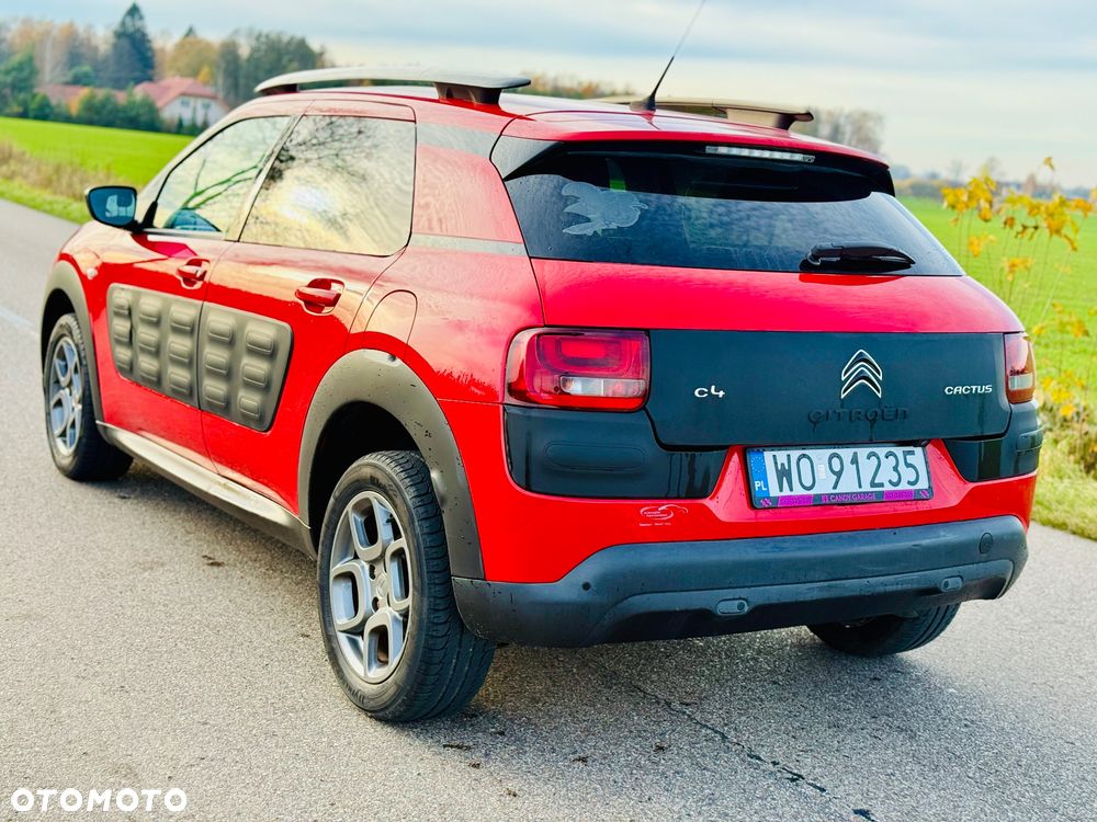 Citroën C4 Cactus PureTech 110 Stop&Start Shine - 15