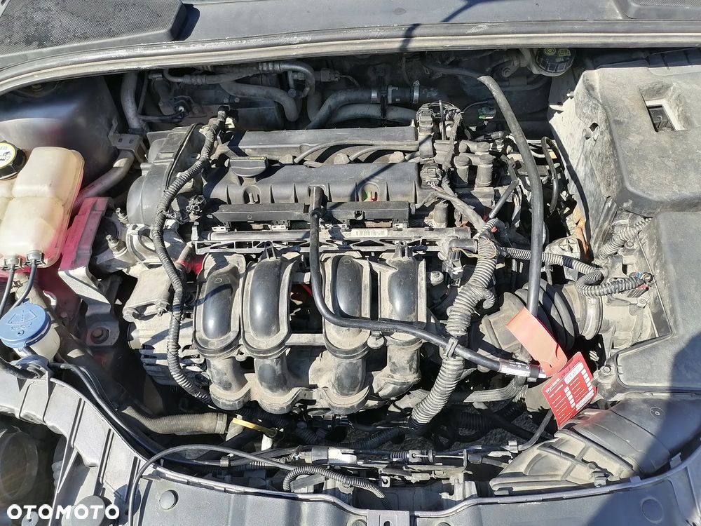 Ford Focus 1.6 Gold X (Edition Start) - 14