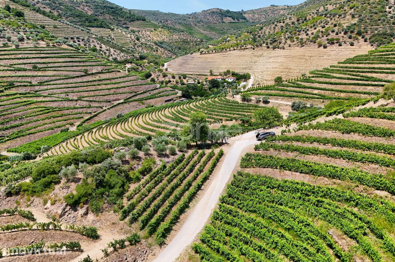 Terreno com 20.163 m² e Vistas Deslumbrantes sobre o Rio Douro